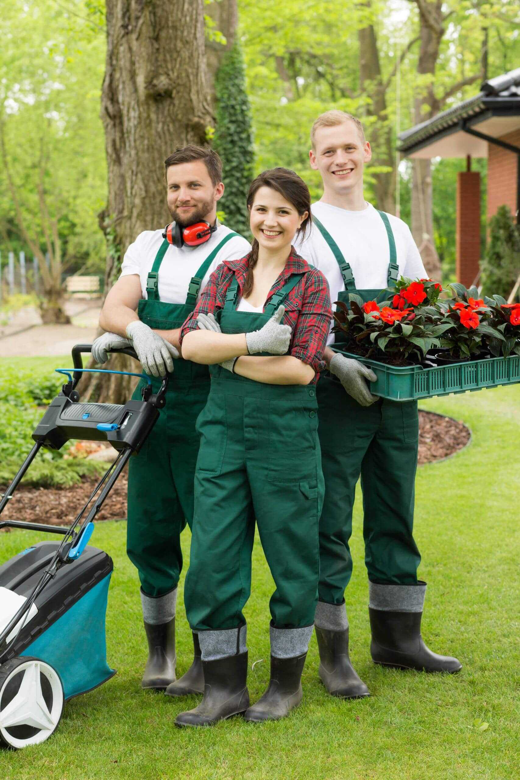 happy-gardeners-with-plants-and-lawn-mower-PVEMXNP.jpg